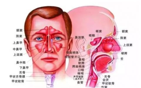 扬州炏焱中医:中医如何治疗鼻甲肥大