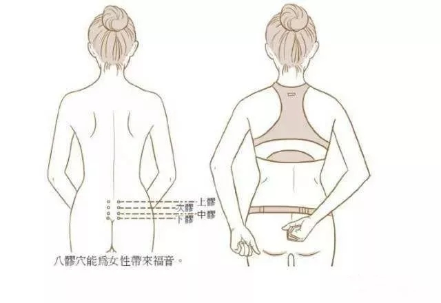 臀部经络图位置图片