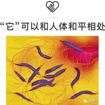 焦作国医堂医院：胃癌，这个锅不能都甩给幽门螺杆菌！