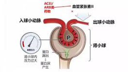 北京中医医院：血压不高也需要吃降压药？