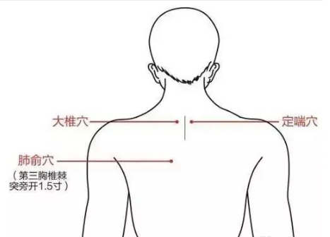 大连宏济世医堂：肥胖的最大问题往往是“肝郁”和“脾虚”