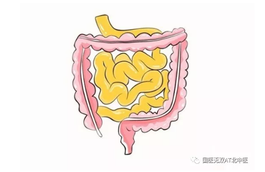 北京中医药大学国医堂：（医案）中医如何治疗结肠炎