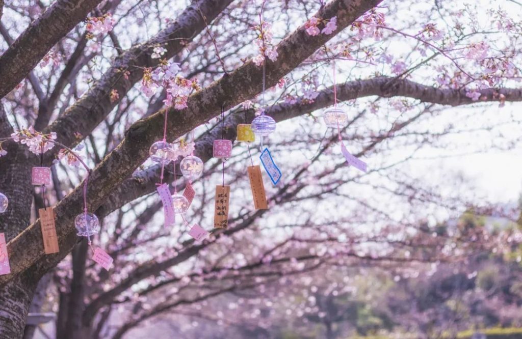 上海应象中医（医案）：吴雯雯医生用针灸治疗颞颌关节炎