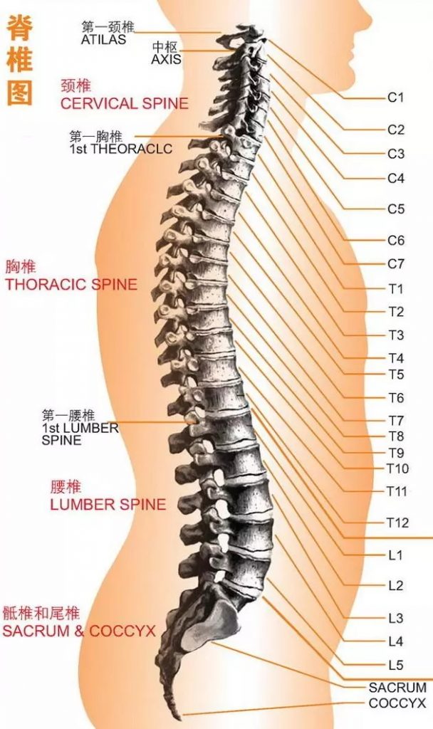 南京江宁德善堂中医话：抻筋正骨疗法