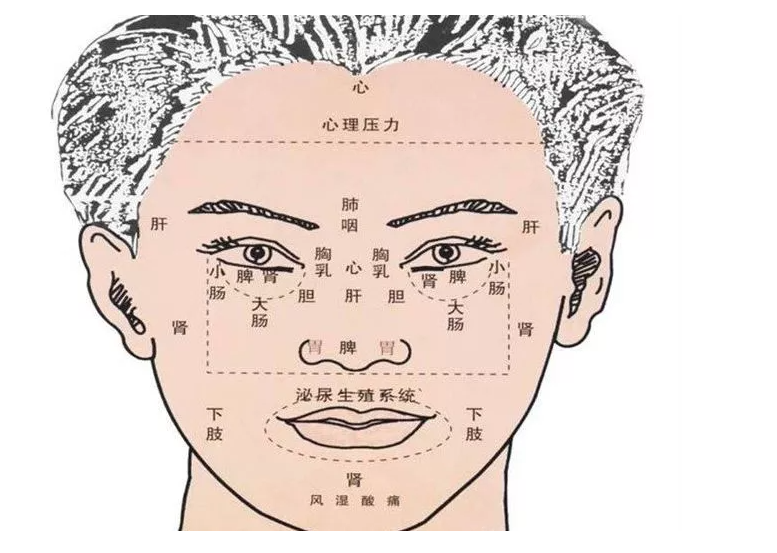 台州御济中医馆：王群医生：肺癌的中医辩证施治