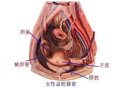 郑州管城康氏中医馆：痛经 病案一