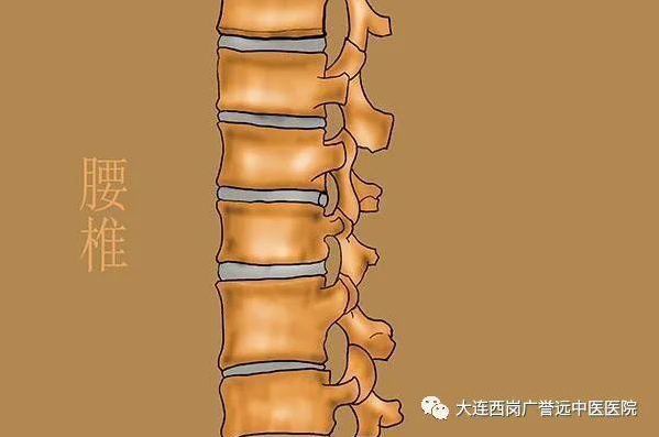 大连西岗广誉远中医医院：李甲治疗腰腿痛