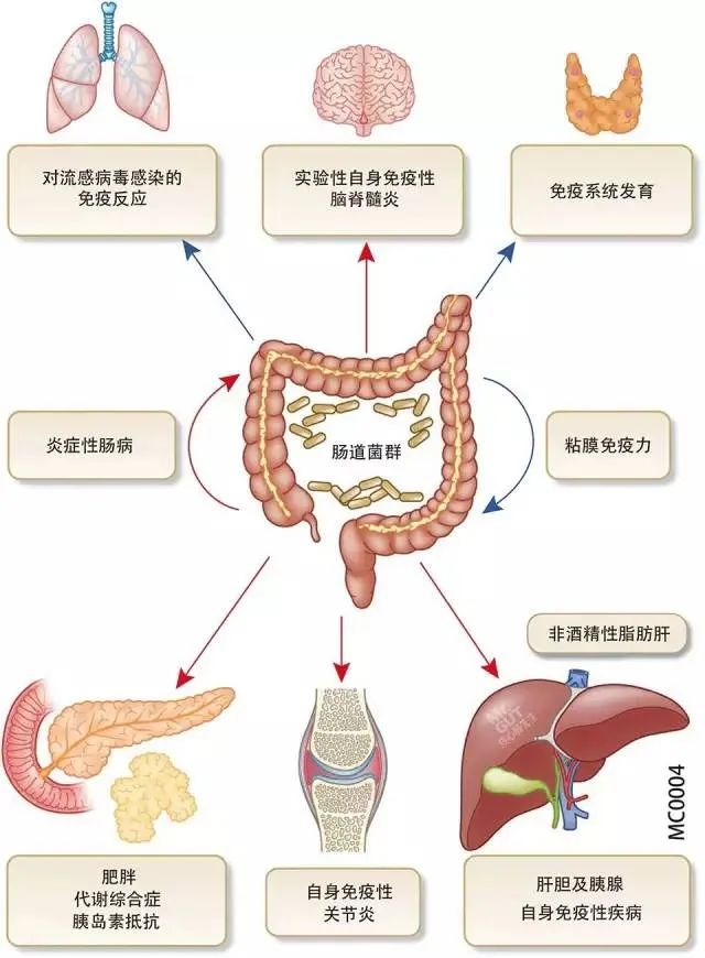 太原广誉远中医门诊部：王慧君治疗肠易激综合征