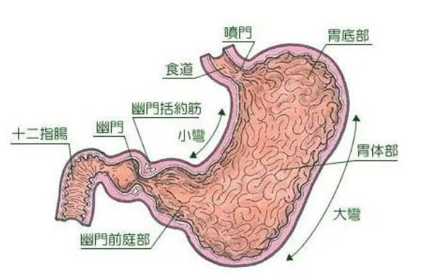 九江正德堂中医馆：周水金治疗晚期胃癌