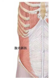 成都秉正堂中医馆：魏琴治疗腰痛