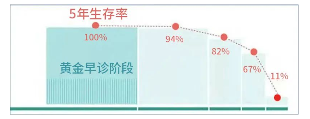 深圳天元中医肛肠医院：肠道是万病之源！