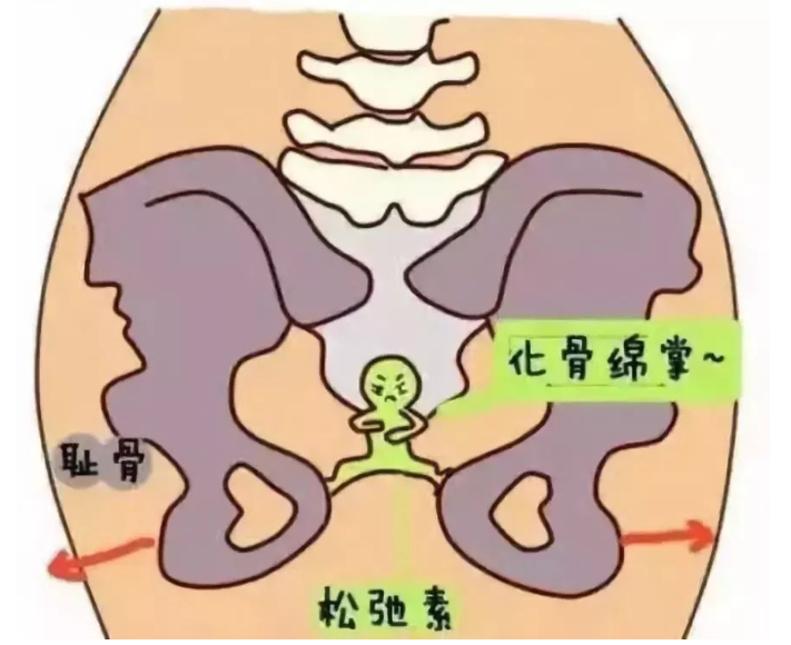 深圳泰辰中医（综合）诊所：什么是产后修复？产后修复有那么重要吗？