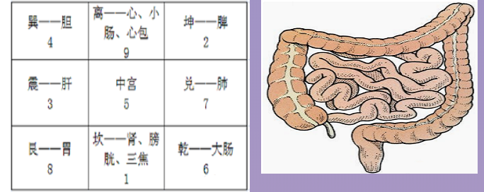 承德昌朴医院：节后积食怎么办？