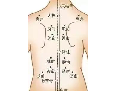 珠海一道中医馆：谈谈小儿厌食问题