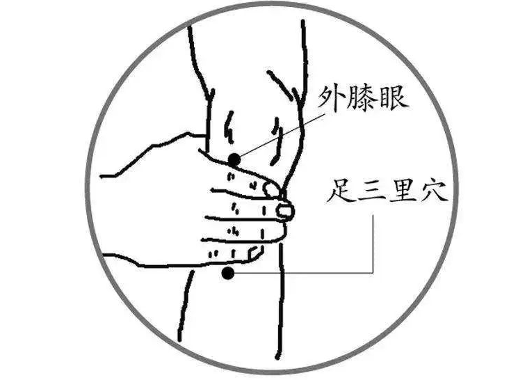 承德医珍堂传统中医门诊部：常按足三里， 补益脾胃、祛邪防病