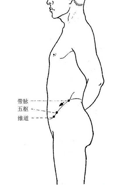 郑州洪善堂中医馆：女人先胖腿，男人先胖肚？原来都和它有关（对应减肥法）