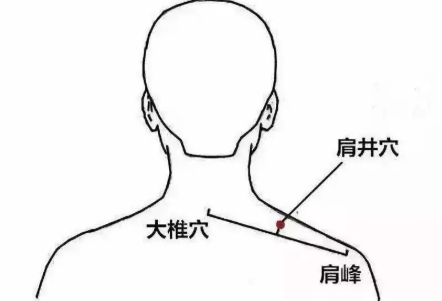 肩颈位置图片