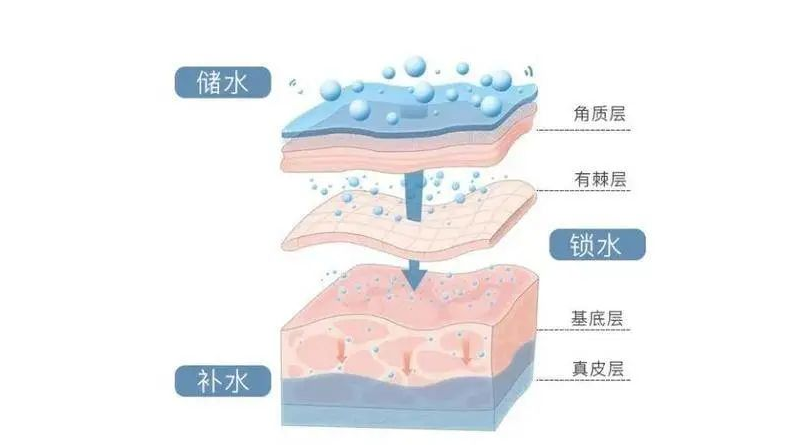 武汉源盛堂中医门诊部:夏季如何调理皮肤?