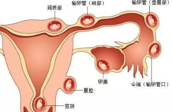 无锡绅华堂中医诊所：什么是月经