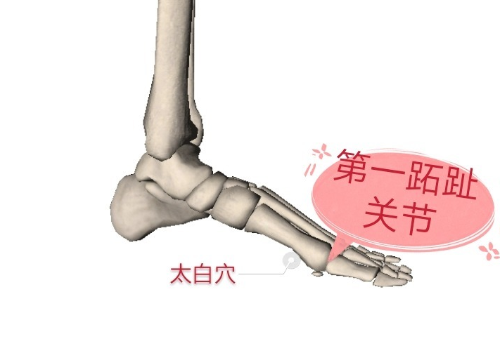 苏州艾叶堂中医馆：日常生活如何养好脾？