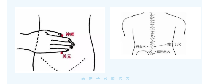 长沙博雅本草中医馆：艾灸养子宫，助力人工受精