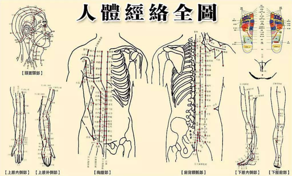 长沙德善堂国医馆：为什么要做经络疏通？