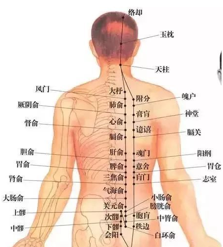 徐州仁爱国医馆：治百病调气为要，通调全身气机的5个腧穴