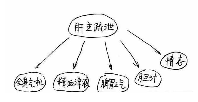 杭州长根堂中医门诊部：动怒伤肝，千万别忍！长根堂医师教您如何疏肝理气