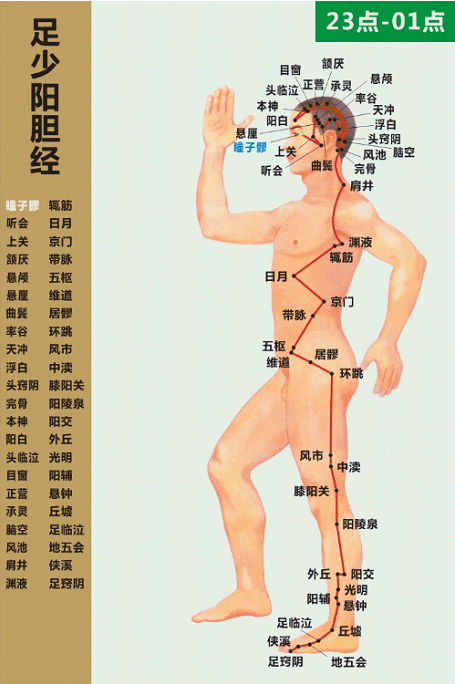 大连正源中医门诊部：乳腺结节、肥胖等，需解肝胆之郁