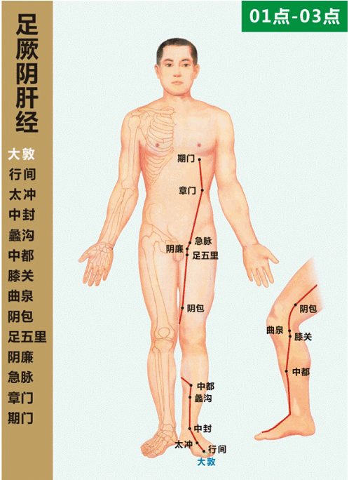 大连正源中医门诊部：乳腺结节、肥胖等，需解肝胆之郁