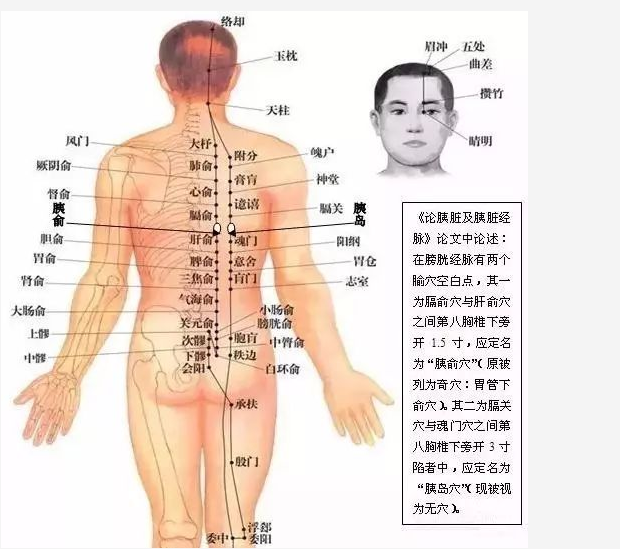 无锡养年堂中医门诊部：寒气入胃，不通则痛！