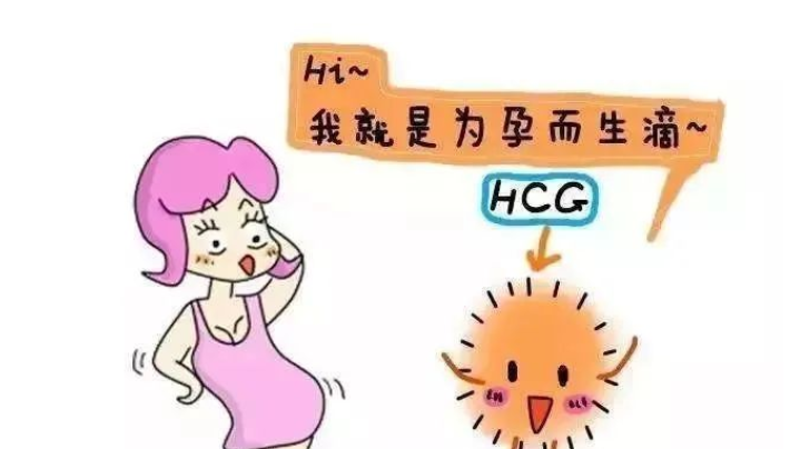 徐州慕正中医特色门诊：是否怀孕、异位妊娠或生化，HCG值很关键，医生手把手教你读懂它！