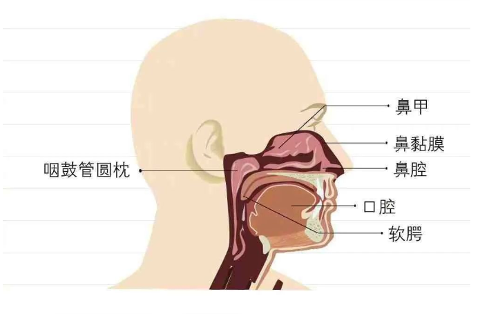 北京金合堂中医馆：天气变没变，鼻子先知道