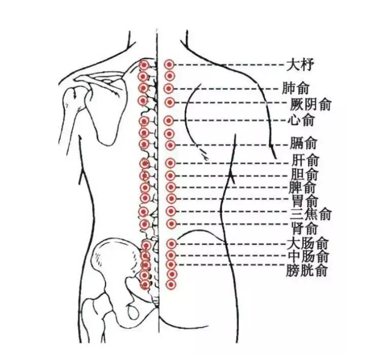 同有三和中医馆：面对防阳、阳过、阳康，五行针灸能做什么？