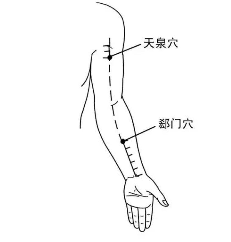 胳膊上“心包经”一定揉开！​治心梗，乳腺增生！