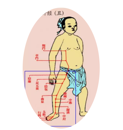 拍小腿内侧，拍此处，作用三倍