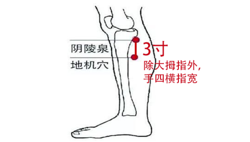 广东广州承启堂中医馆：考前心烦气躁，甚至难以入眠怎么办？