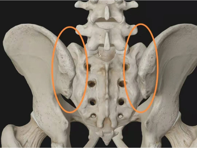 背痛？当心骶髂关节错位