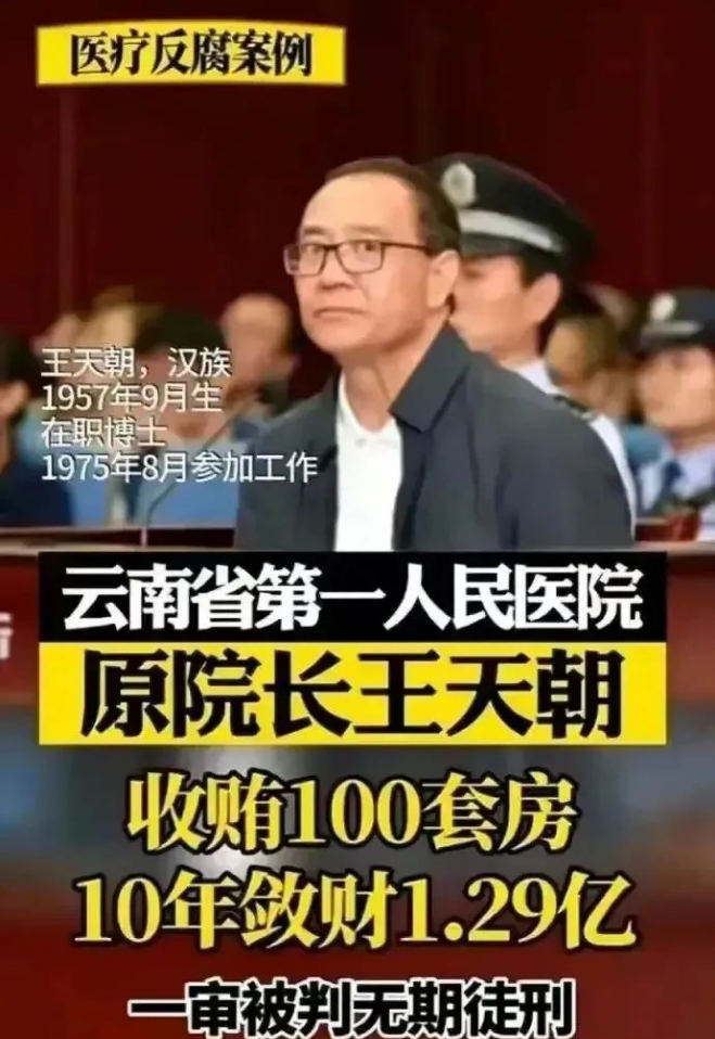 首都医科大学校长饶毅：再接着搞医疗反腐，那医疗系统就瘫痪了~