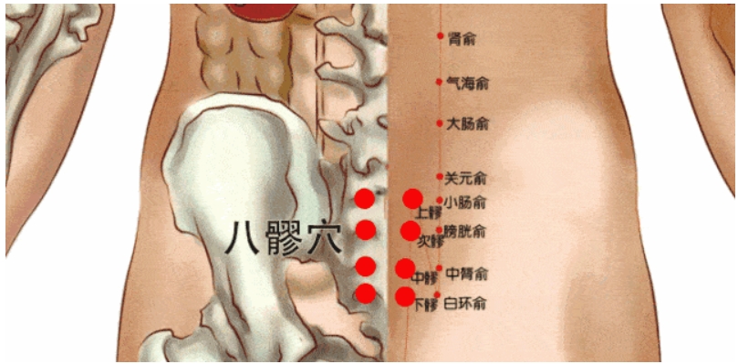 八髎穴又称 “ ‭‮春回‬‬穴 ”：‮怕男‬‬薄，女怕鼓