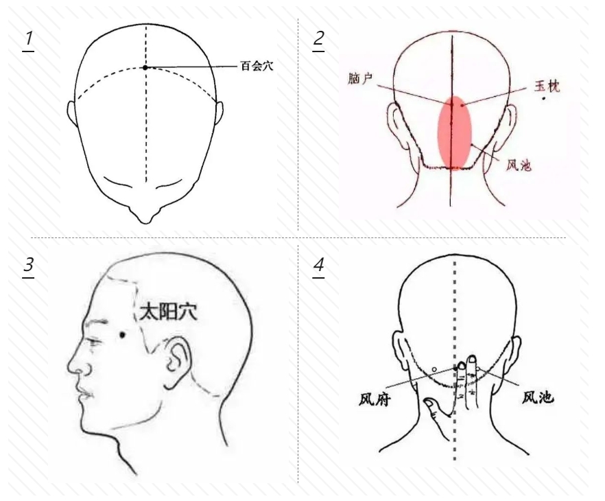 大把掉头发怎么办？秋冬把肾精肝血都储存充足帮助生发！