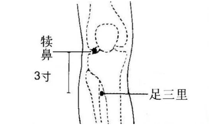 舌苔有齿痕，从生活起居、饮食及情绪心态三个方面进行调理！