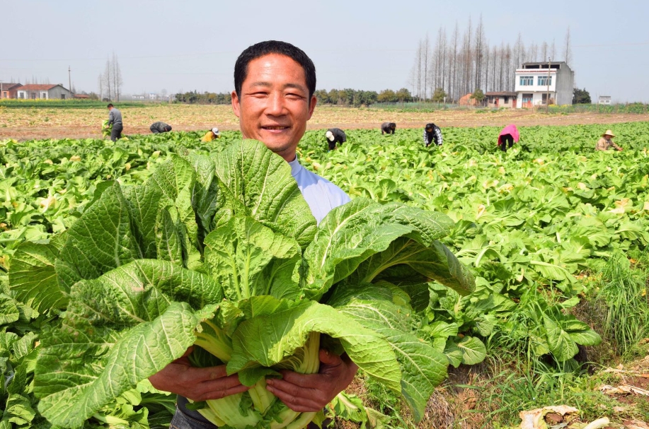 夏季滋补养生，应该清热去湿消暑