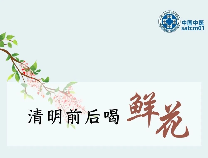 清明前后喝鲜花！