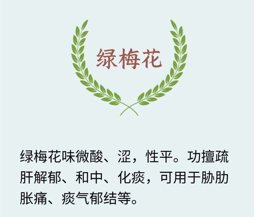 清明前后喝鲜花！