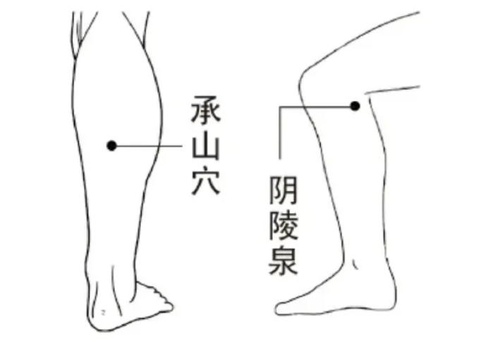 最近身体总是很沉重，中医说是湿气大