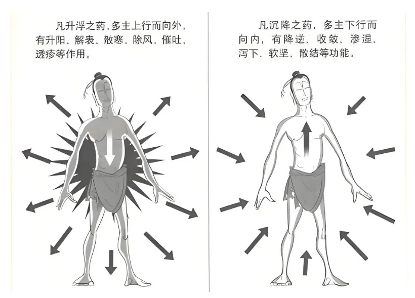 黄芪的6个经典泡水食疗搭配，这样用才不会越补越虚、白喝浪费