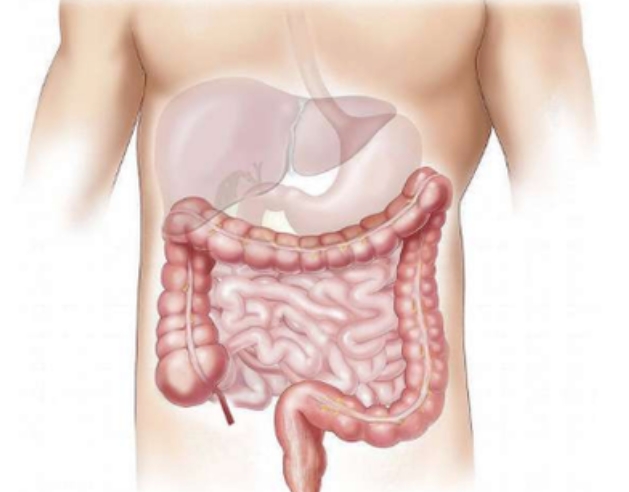 胃肠病常见的症状都是什么?在日常生活中如何预防?