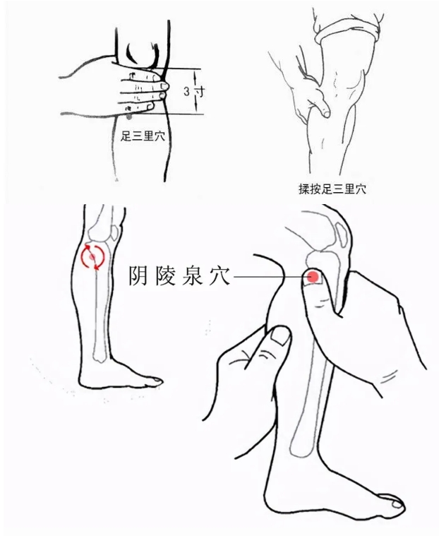 祛湿不能只靠赤小豆薏苡仁汤