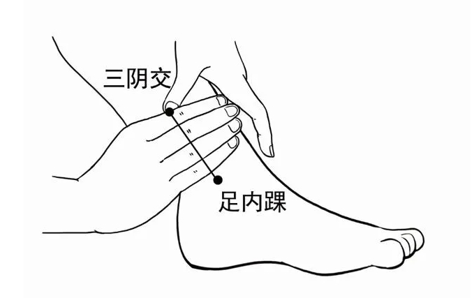 祛湿不能只靠赤小豆薏苡仁汤